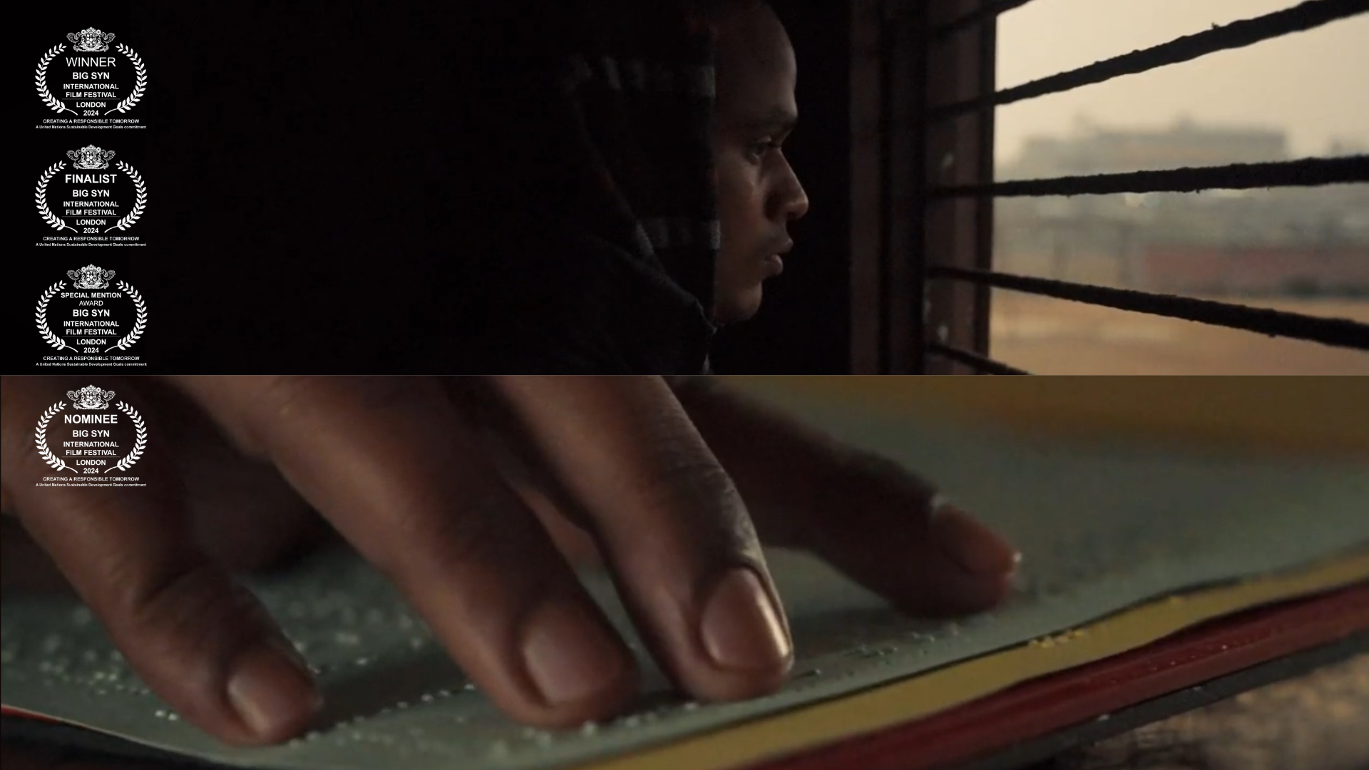 Inside Myanmar's Revolution